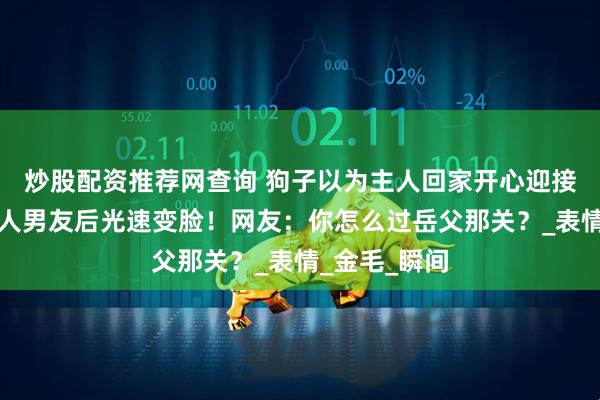 炒股配资推荐网查询 狗子以为主人回家开心迎接，发现是主人男友后光速变脸！网友：你怎么过岳父那关？_表情_金毛_瞬间