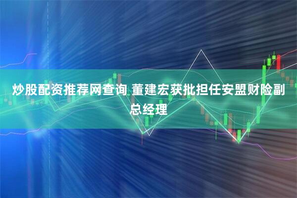炒股配资推荐网查询 董建宏获批担任安盟财险副总经理
