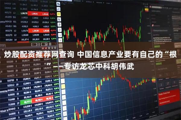 炒股配资推荐网查询 中国信息产业要有自己的“根”——专访龙芯中科胡伟武