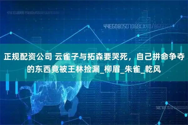 正规配资公司 云雀子与拓森要哭死，自己拼命争夺的东西竟被王林捡漏_柳眉_朱雀_乾风