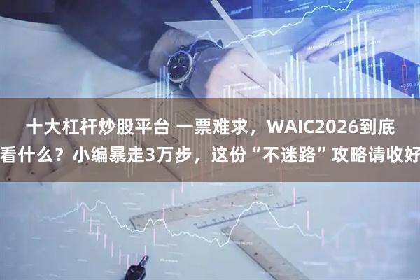 十大杠杆炒股平台 一票难求,WAIC2026到底看什么?小编暴走3万步,这份“不迷路”攻略请收好